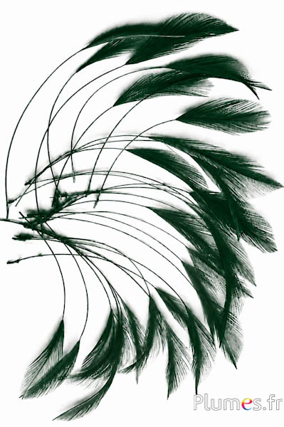 Gallo - 10-15 cm - verde abete